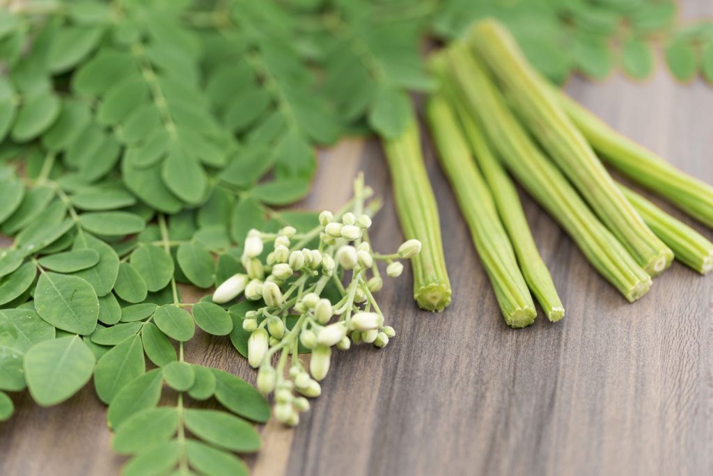 Daun Moringa as an illustration for Apa itu Moringa.